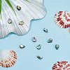 FIBLOOM 10Pcs Abalone Shell/Paua Shell Beads SSHEL-FI0001-01-4
