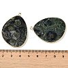 Natural Kambaba Jasper Pendants G-K347-02G-01-3