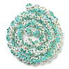 Handmade Lampwork Beads Strands LAMP-N021-015A-12-1