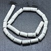 Natural Howlite Beads Strands G-F631-F03-2