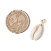 Natural Cowrie Shell Pendants PALLOY-JF03712-02-3