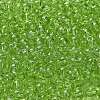 Transparent Colours Glass Seed Beads SEED-C001-02A-09-3