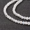 Natural Rainbow Moonstone Bead Strand G-G680-53-3