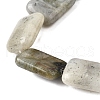 Natural Labradorite Beads Strands G-S386-A03-4