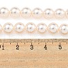 Glass Pearl Beads Strands HY-G002-01D-03-5