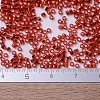 MIYUKI Delica Beads X-SEED-J020-DB0043-4