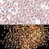 Luminous Glass Seed Beads SEED-A033-07C-1