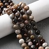 Natural Mexico Crazy Agate Beads Strands G-L615-A01-03-2