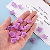 Transparent Acrylic Beads PLF018-04-6