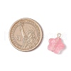 Glass Charms PALLOY-JF03421-2