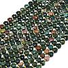 Natural Bloodstone/Heliotrope Stone Beads Strands G-C116-A58-02-2