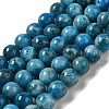 Natural Apatite Beads Strands G-S150-18-8mm-3