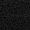 MIYUKI Round Rocailles Beads SEED-X0055-RR0401F-2