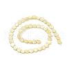 Natural Freshwater Shell Dyed Beads Strands SHEL-K001-001C-2