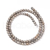 Natural Silver Line Jasper Beads Strands G-P451-03C-A-3