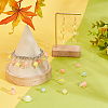   234Pcs Transparent Acrylic Beads TACR-PH0001-68-5