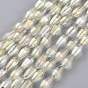 Electroplated Glass Beads Strands EGLA-H100-FR02-1