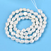 Natural Cultured Freshwater Pearl Beads Strands PEAR-N014-04K-3
