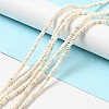 Natural Magnesite Beads Strands G-D474-02B-6