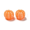 Opaque Resin Imitation Food Decoden Cabochons X-RESI-B015-06-3