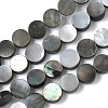 Natural Black Lip Shell Beads Strands BSHE-D300-05-8mm-1