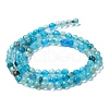 Natural Agate Beads Strands G-Q1000-02H-2
