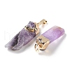 Natural Amethyst Big Pendants G-B066-01G-02-2