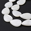 Natural Freshwater Shell Beads Strands X-SHEL-H001-12-4
