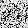 Baking Paint Glass Seed Beads SEED-A033-04M-3