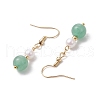 Natural Gemstone Round Dangle Earrings for Women EJEW-JE06334-5