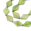 Dyed Natural Freshwater Shell Beads Strands SHEL-T020-13E-3