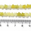 Natural Lemon Jade Beads Strands G-G085-B58-02-5