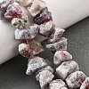Natural Tourmaline Beads Strands G-I283-F07-1