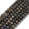 Natural Black Labradorite Beads Strands G-C205-A01-6mm-2