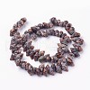 Natural Spiral Shell Beads Strands X-BSHE-L036-31-3