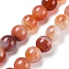 Natural Multi-Color Agate Beads Strands G-A261-B21-14mm-2
