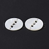 Natural Freshwater Shell Connector Charms SHEL-H001-08-4
