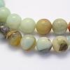 Natural Flower Amazonite Beads Strands G-G697-F06-6mm-3