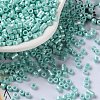Baking Paint Glass Seed Beads SEED-S042-15A-09-1