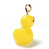 Opaque Resin Cartoon Pendants CRES-Z004-01A-G-2