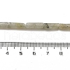 Natural Labradorite Beads Strands G-D464-29-4