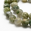 Natural Tree Agate Beads Strands G-G735-02-8mm-3