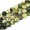 Natural Serpentine Beads Strands G-N346-06A-02-2
