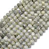 Natural Labradorite Beads Strands G-P573-A55-01-2