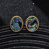 304 Stainless Steel Natural Paua Shell Stud Earrings EJEW-Z103-02G-01-2