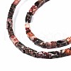 Natural Leopard Skin Jasper  Beads Strands G-S299-146-3