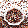 Glass Seed Beads SEED-N007-13P-2