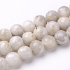 Faceted Natural Agate Round Bead Strands G-L383-11-10mm-1