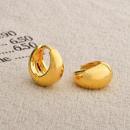 Brass Hoop Earrings EJEW-U055-21G-1