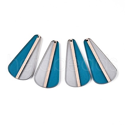 Transparent Resin & Wood Pendants RESI-T057-54A-1